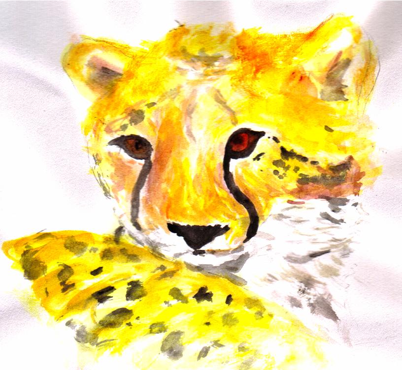 watercolour cheetah by harleyfan1