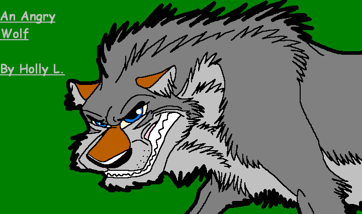 An Angry Wolf by hawaiifan