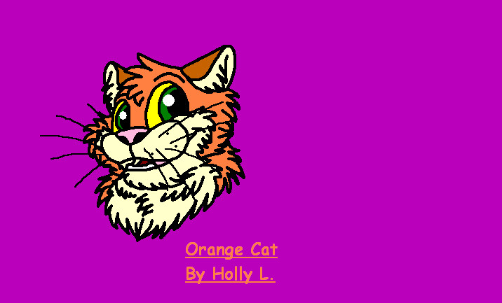 Orange Cat by hawaiifan