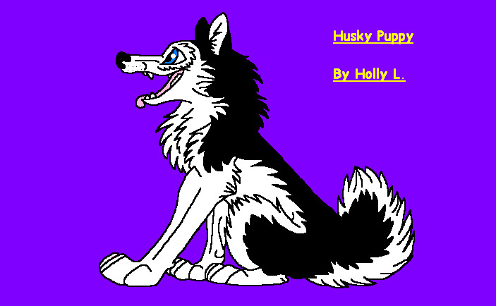 Husky Puppy by hawaiifan