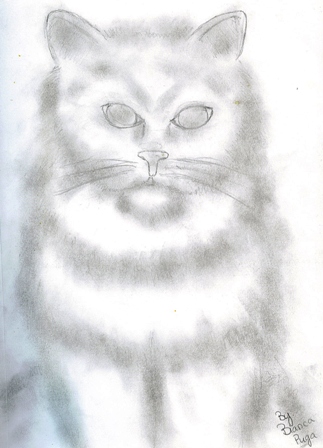 Fluffy cat by hellgirl1990