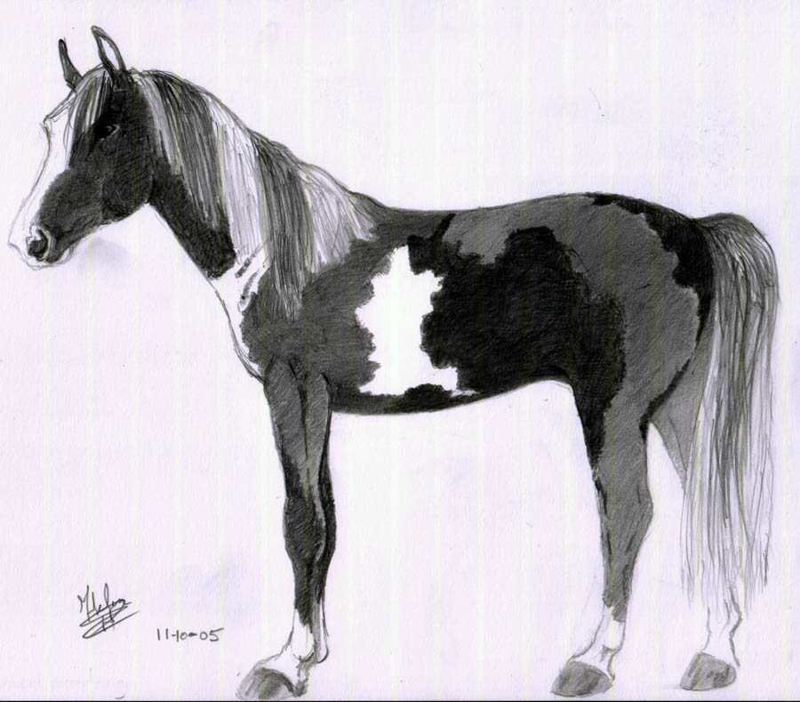 Painted horse© by herroracer