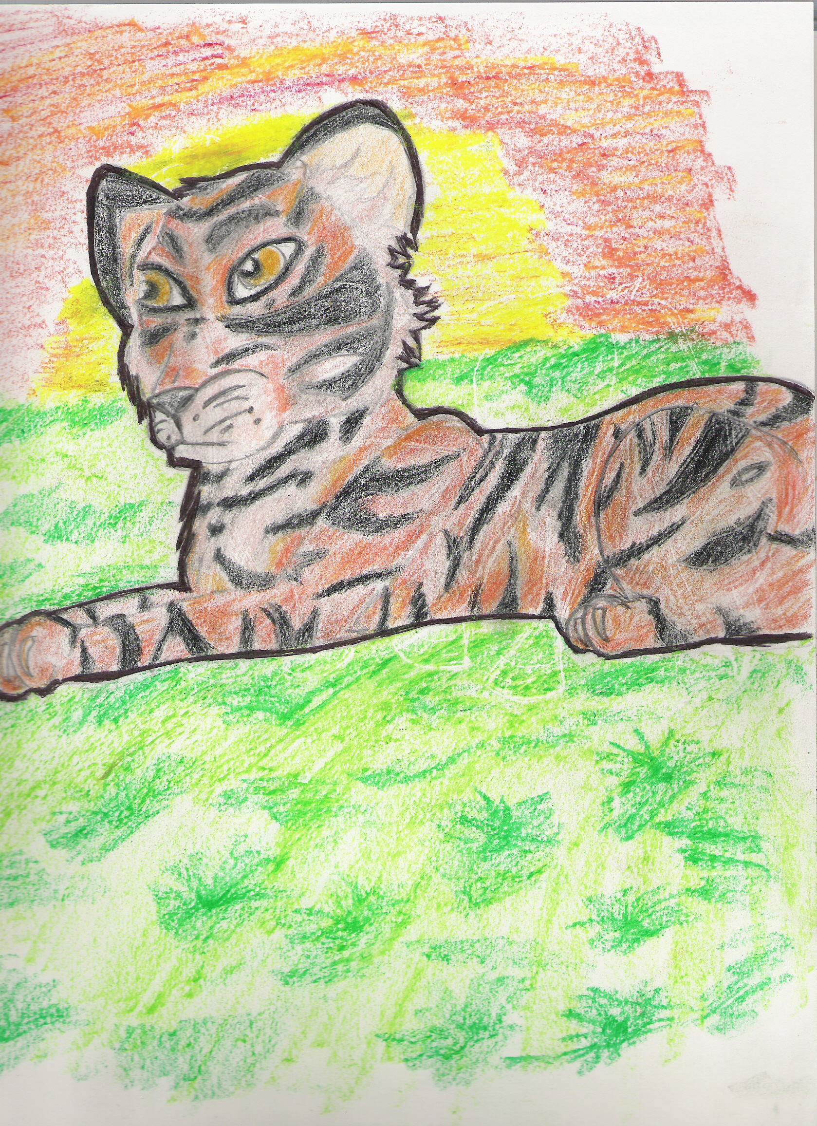 tiger by heyunloving331