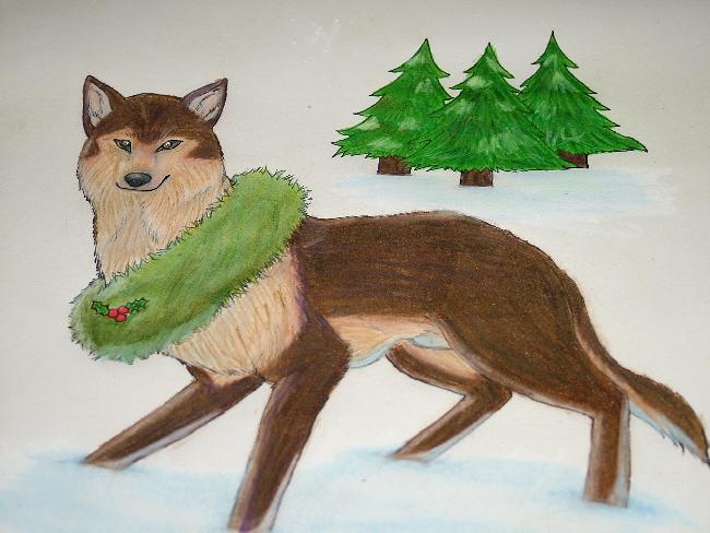 Suichi in Winter Wonderland by higes_wolf