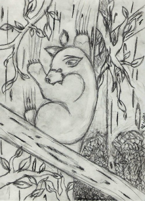 Bear Sketch by hikarichaos14