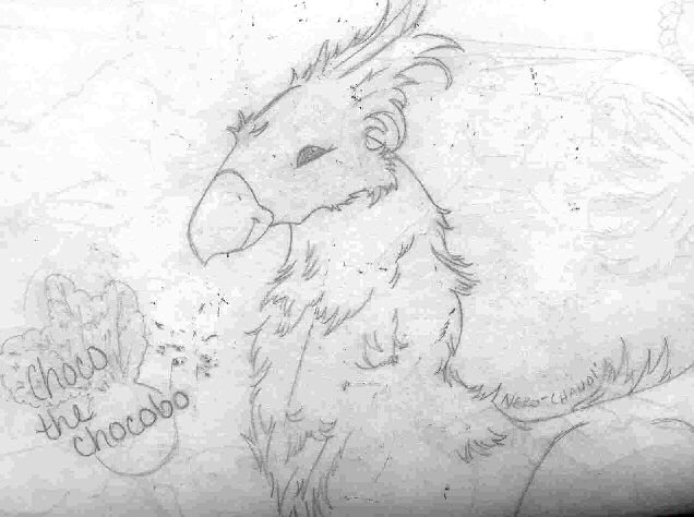 chocobo by hooked_on_me
