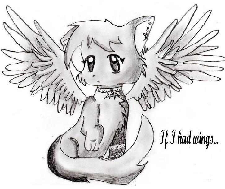 a winged kitty angel by hot_as_hell