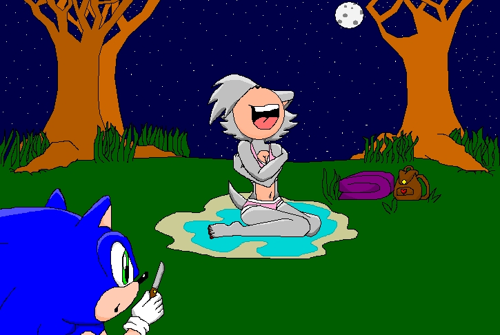 sonic and sky( request from RedX-Shadow) by hot_sonic
