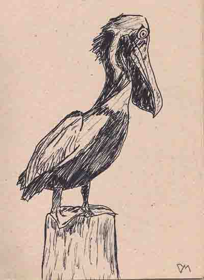A Realistic Pelican by IAMSHUGO