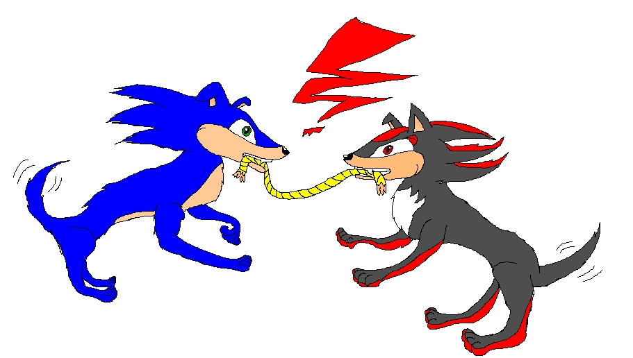 Sonic and Shadow as Dogs...Playing Tug of War! by I_Luv_Sonic_7