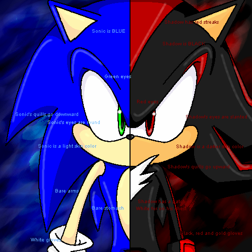 The Differences Between Sonic and Shadow by I_No
