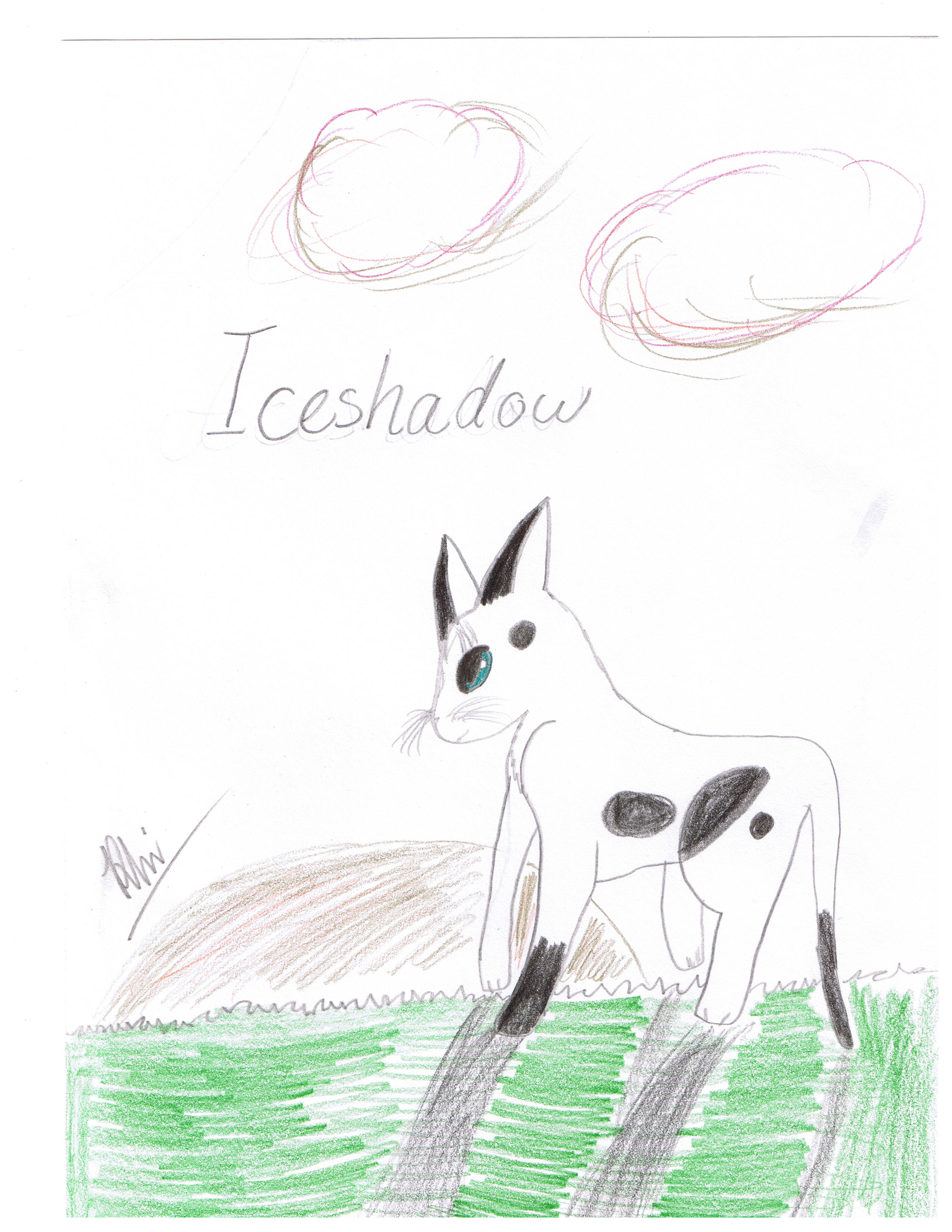 Iceshadow of RiverClan by Iceshadow