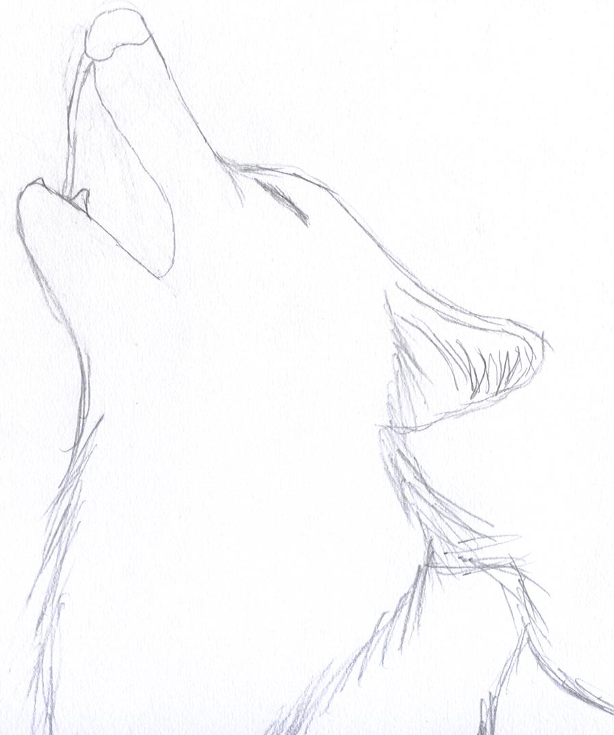 Sketch of a wolf by IluvAtem