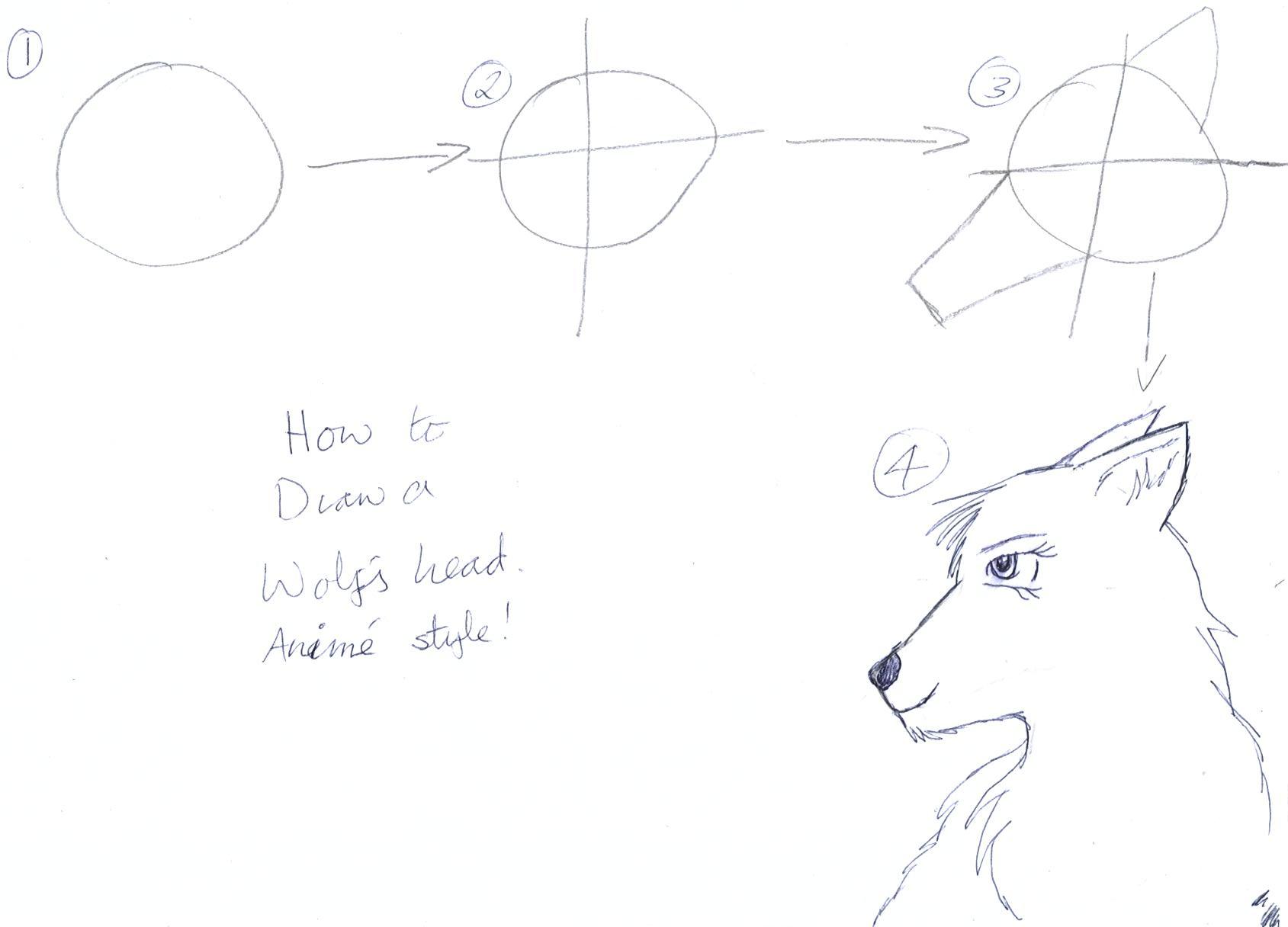 How to draw a Wolf's head-Tutorial! by IluvAtem