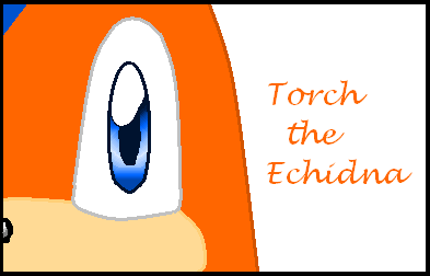 Torch the Echidna: close up by Indigo_Foxx