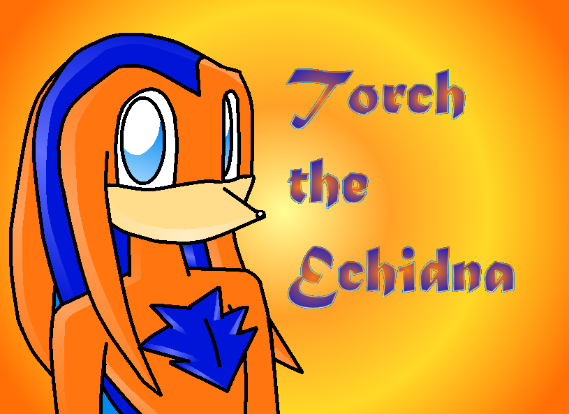 Torch the Echidna by Indigo_Foxx