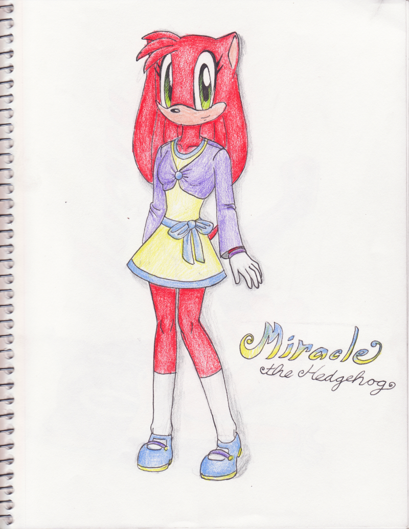 Request for Miraclethehedgehog: Miracle by Indigo_Foxx
