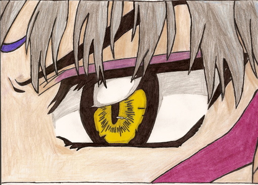 Sesshomaru's Eye by InsaneJackalWeecha