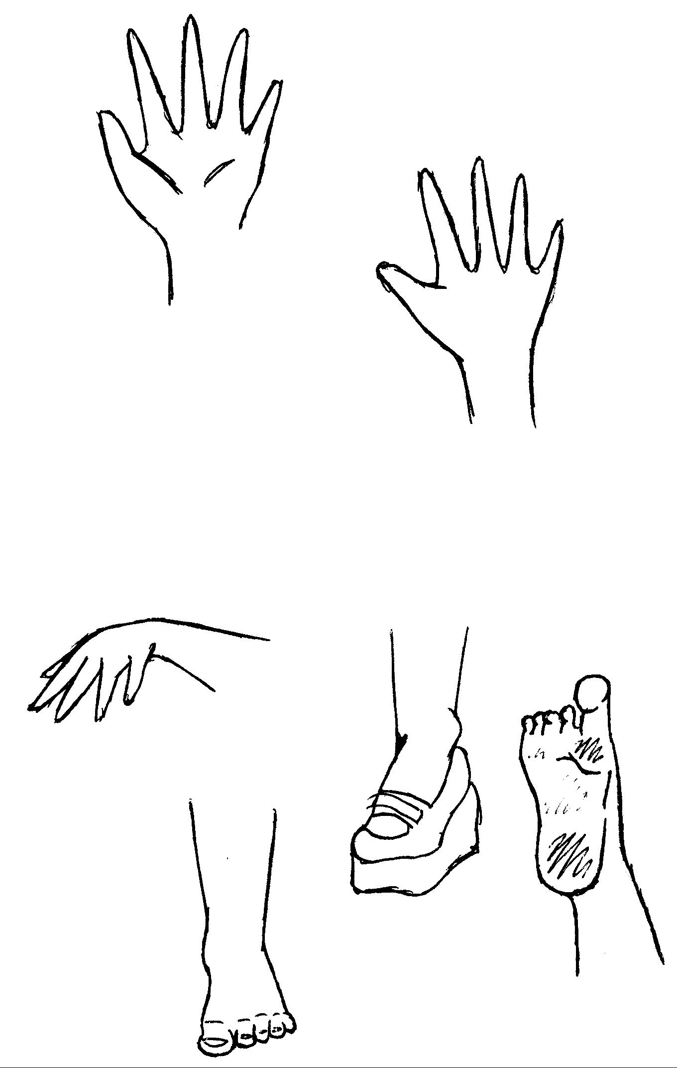 Hands and Feet doodles by Insight