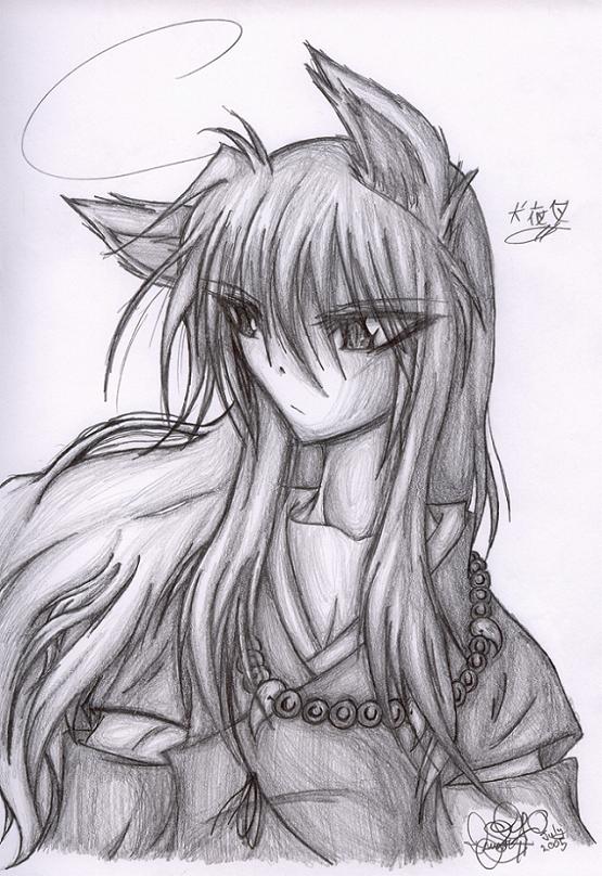 Inuyasha...again!:D by Inugirl10