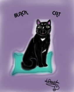 Black cat by Invader-leandra