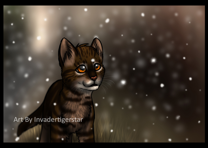 Bramblepaws's First Snow by InvaderTigerstar