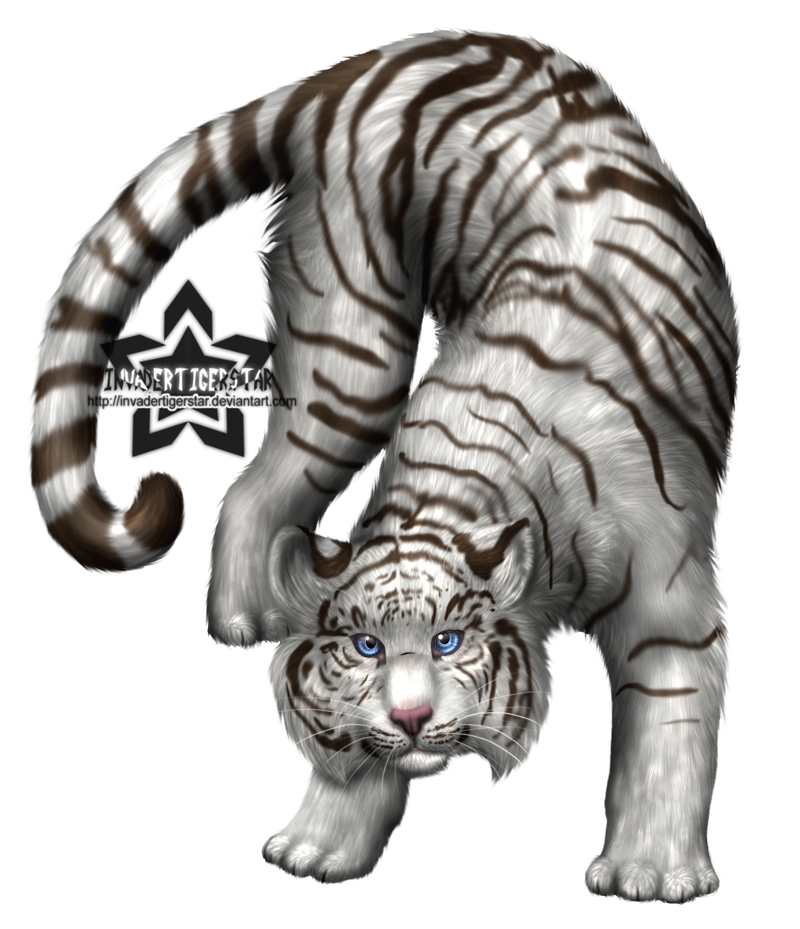 Tiger by InvaderTigerstar
