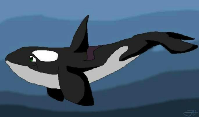 Orca by Invader_Rio