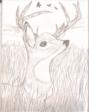 A deer? by Irken_Akire