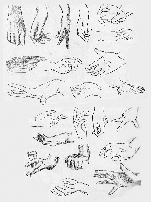 Drawing Reference: Hands 1 by IsaChan_ArtStudio