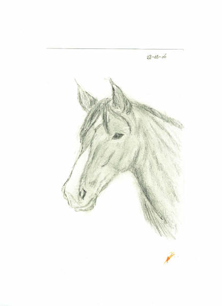 Horse by Izzymii