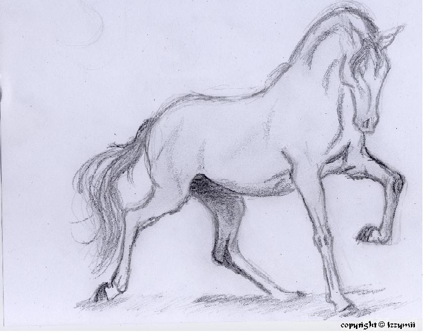 Stallion by Izzymii
