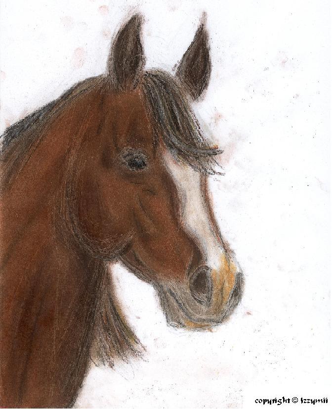Horse~ by Izzymii