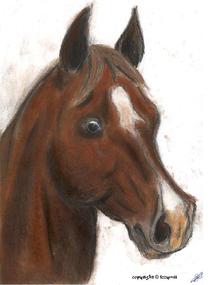 Alfred - Horse by Izzymii