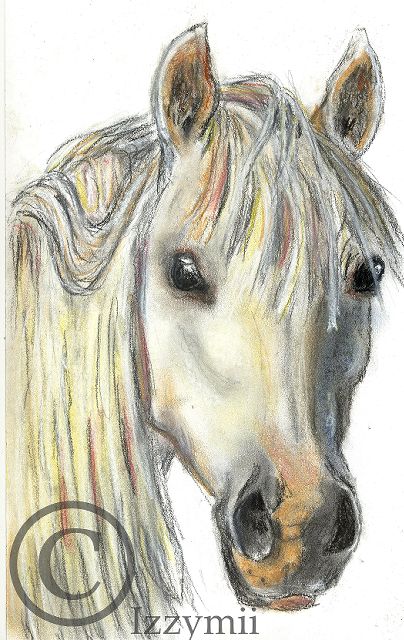Welsh Pony by Izzymii