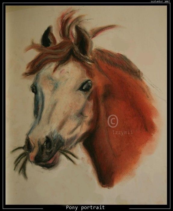 Pony portrait by Izzymii