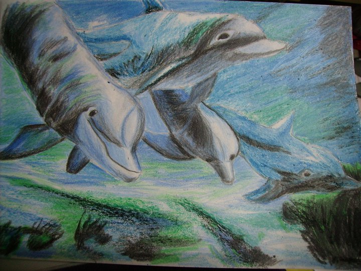 Dolphins by i77310