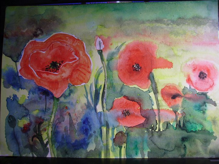 Poppies by i77310