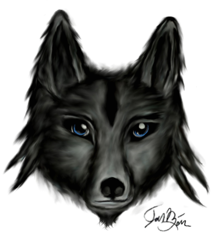 Wolf head by ibain93