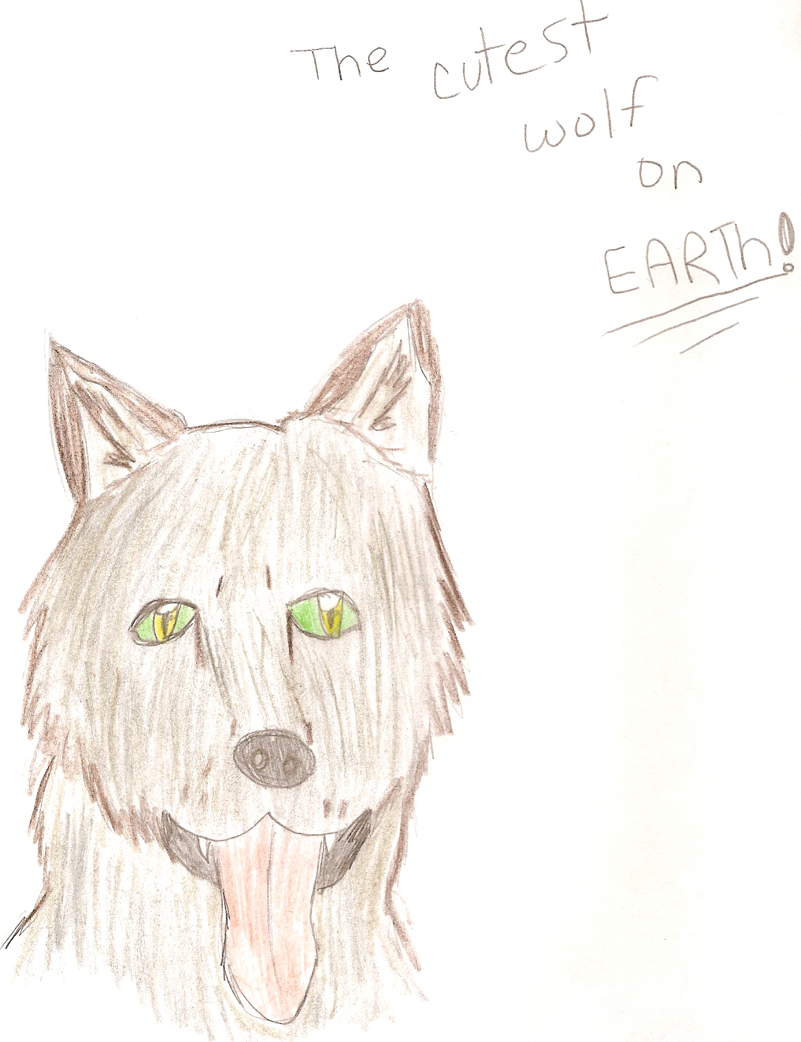 the worlds cutest wolf by icekitten101
