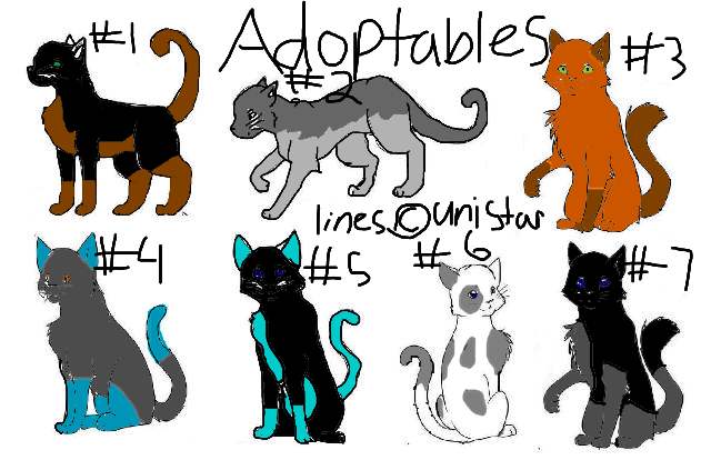 Cat adoption 4 **READ RULES** by icestorm