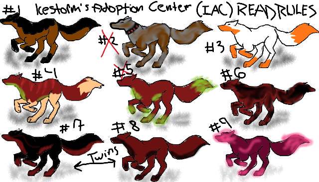 ICESTORMS ADOPTION CENTER **READ RULES** by icestorm