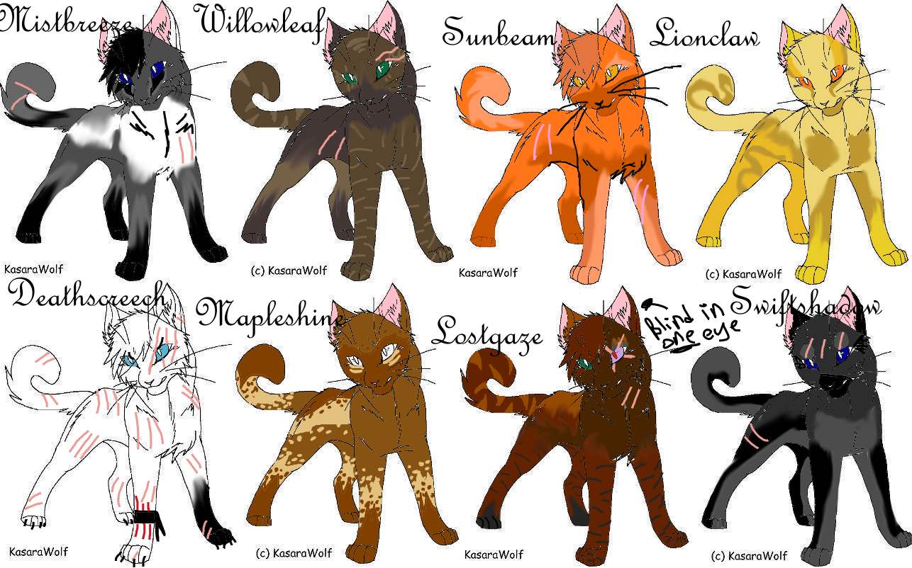 Warrior cats for Pixiewolf05 by icestorm