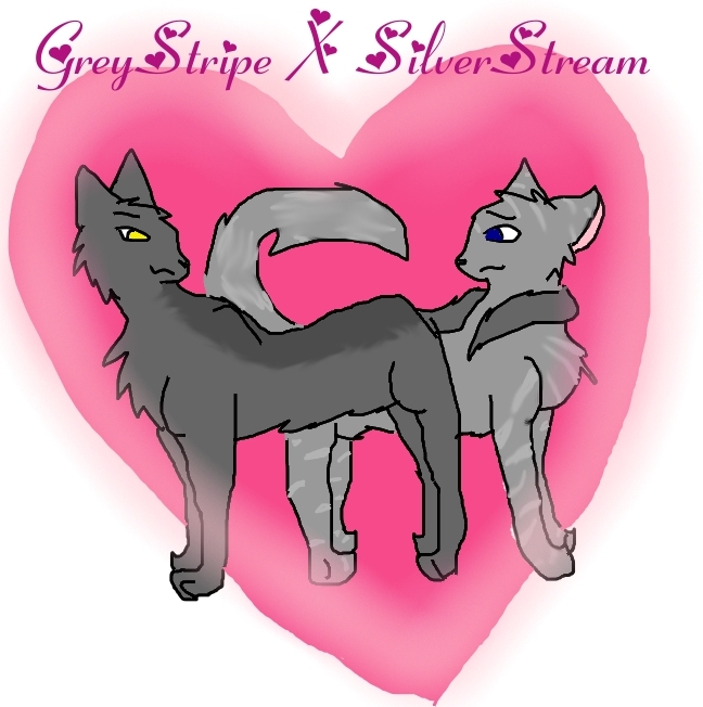 graystripe and silverstream by icestorm