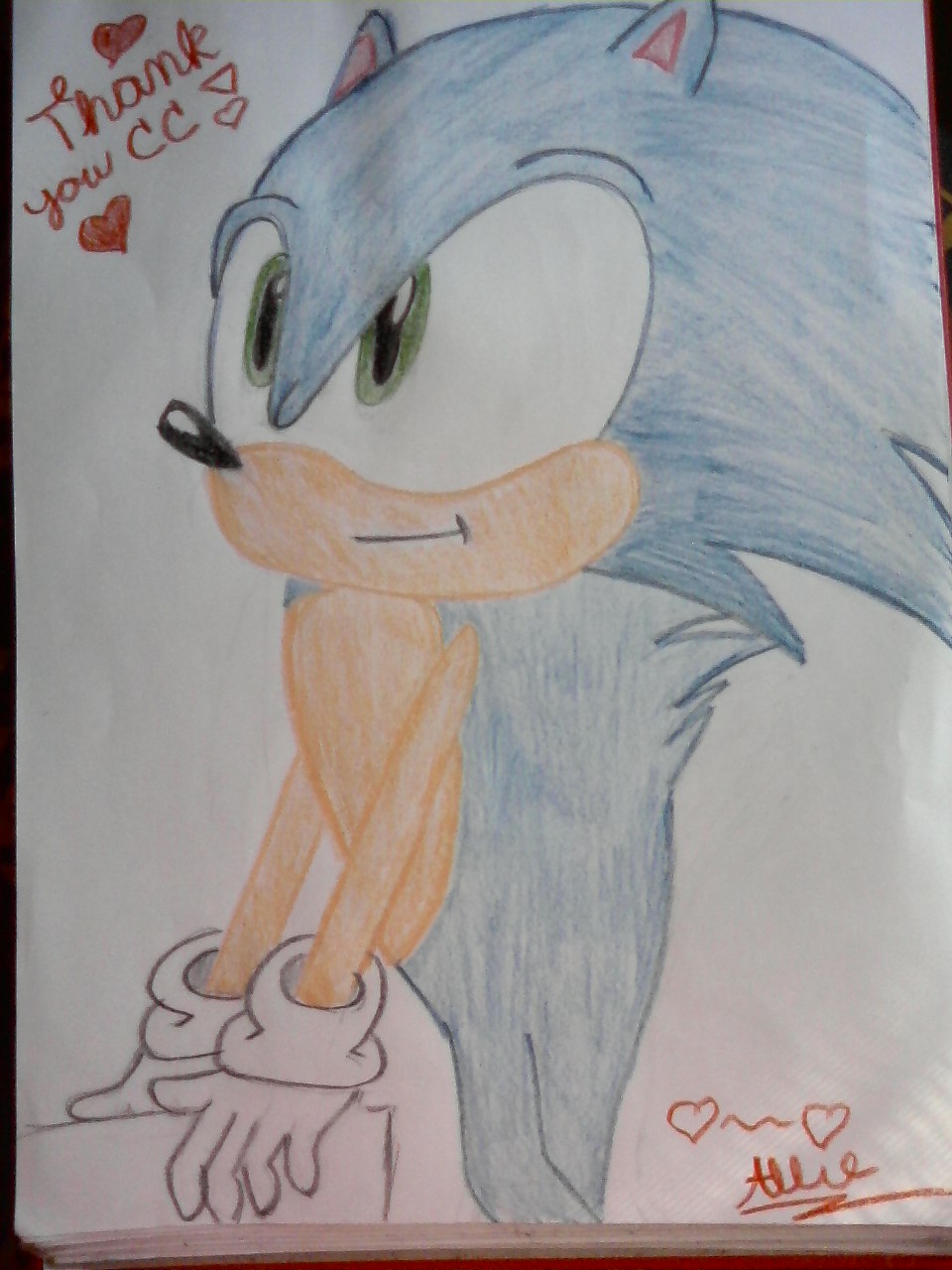 Sonic the Hedgehog - Thank you NPG by idoodle