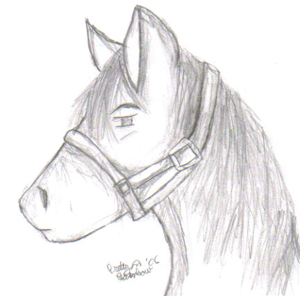Cartoony Horsey by imaprettyrainbow