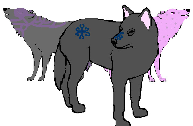 Sukooru's 3 wolves by imgood4it