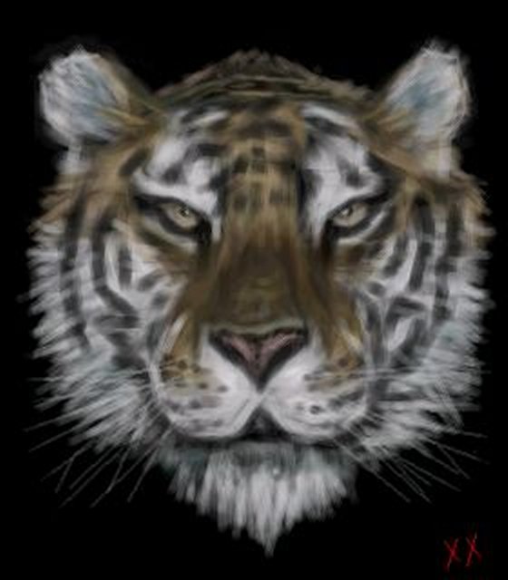 A Tiger by JAYCEE