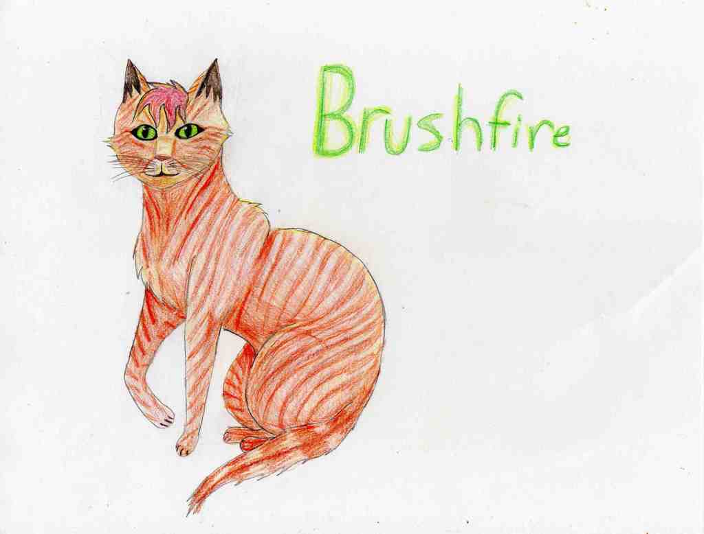 Brushfire for Desertbreeze by Jadeclaw