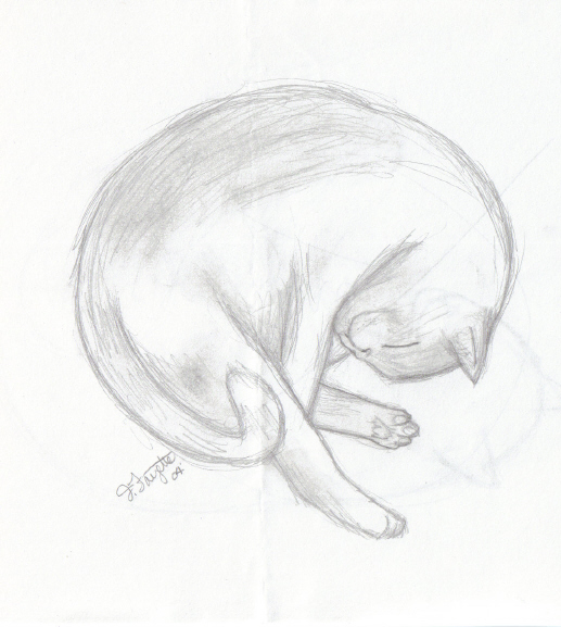 !! Snoozing Kitty !! by JarJarrBinx6
